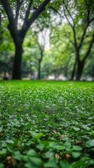 Serene Park Setting with Lush Greenery and Tranquil Atmosphere