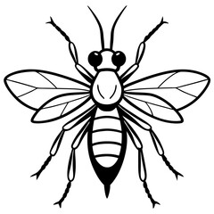 vector illustration of a wasp