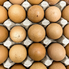 top view of organic brown chicken eggs organized on egg tray