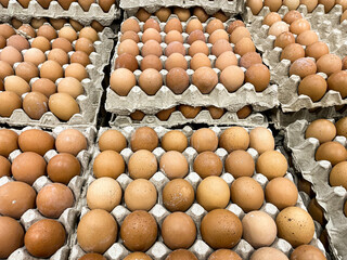 pile of organic brown chicken eggs box displayed at market