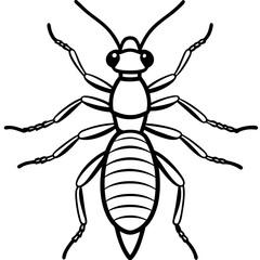 black and white beetle