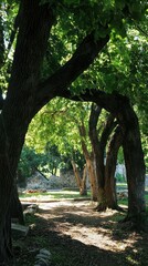 Lush Greenery and Ancient Trees in Peaceful Garden Shadows