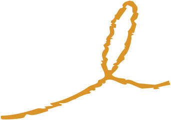 Fototapeta premium Hand drawn line 