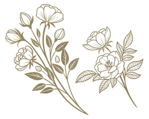 Elegant floral line art illustration featuring delicate roses and leaves. Two beautiful rose branch drawings with buds, perfect for wedding designs.
