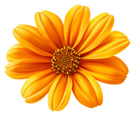 Obraz premium Vibrant orange flower in nature setting floral cut out