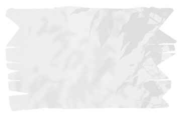 sheet of paper on a transparent background with a shadow of tree leaves