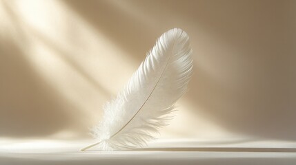 A single white feather stands upright on a bright, clean background, casting a soft shadow that highlights its delicacy.