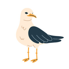 Seagull, sea bird standing, front view. Marine nautical beach fauna. Flat vector illustration isolated on white background.