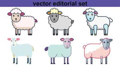 Sheep Vector Editorial Set, A cute and fluffy set of sheep illustrations in vector format, ideal for creative and editorial design projects.
