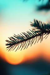 A close-up of pine tree needles in silhouette against a glowing ember sunset, Conifer,Tree,Gymnosperms,OrganismsForests