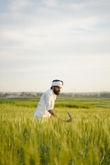 A Pakistani Indian farmer dressed in traditional white clothing and a turban works in a green wheat field using a hand tool under natural daylight.