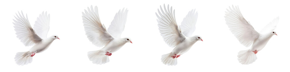 Obraz premium A flock of pristine white doves soaring through the air with their wings outstretched embodying peace freedom and a sense of ethereal beauty