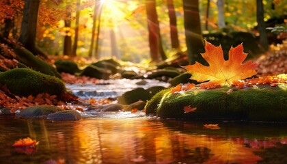 Serene Autumn Woodland Stream with Vibrant Fall Colors, Reflective Water, and Sunlit Floating Maple Leaves in a Tranquil Setting


