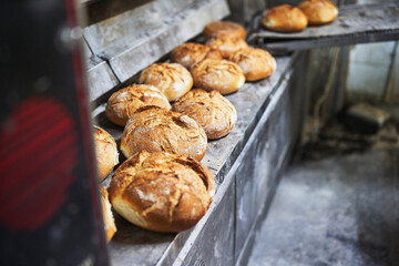 Freshly baked bread loaves cooling outside industrial oven