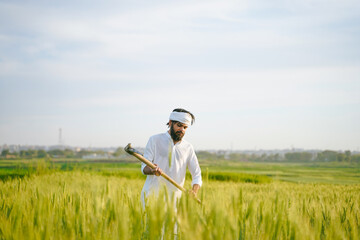 A Pakistani Indian farmer dressed in traditional white clothing works in a lush wheat field, using a farming tool under a bright sky.