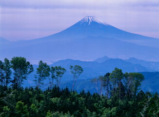 Fototapeta premium 伊豆半島・伊豆市の皮子平から眺める富士山