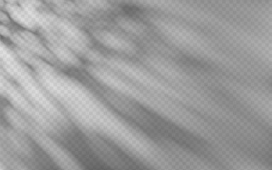 Fototapeta premium Abstract shadow overlay from foliage on a transparent background.