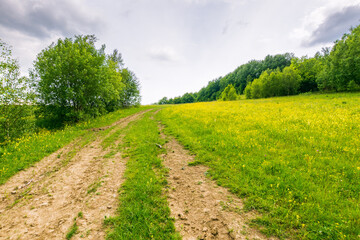 dirt road through forested countryside. direction up hill. beautiful summer rural landscape in mountains. adventure in nature scenery before the storm. vacation season