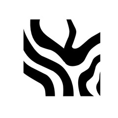 zebra pattern background