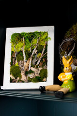 Handmade moss wall art in wooden frames