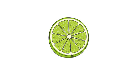 Fresh Lime Slice Illustration on White Background, vector  