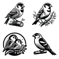 House Finch bird vector silhouette icon set clipart illustration black & white