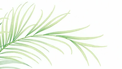 Obraz premium Collection of Green Palm Leaves on Transparent Background for Tropical Themes