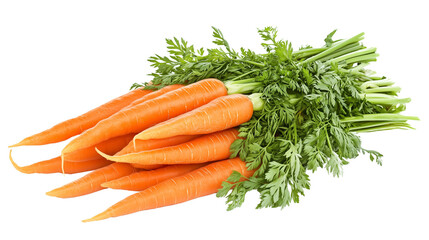 Fresh Organic Carrots with Green Tops on Transparent Background