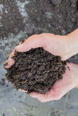 Close up of two hands full of fermented black soil for carbon farming. Peat free substrate.