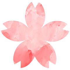 Watercolor pink cherry blossom