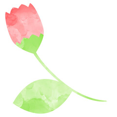 Watercolor pink flower bud