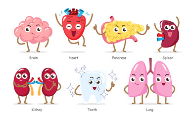 Human internal organs . Set of funny medical cartoon characters . Include brain, heart, pancreas, spleen, kidney, tooth, lung . Isolated white background . Vector .