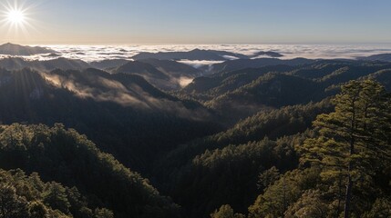 Obraz premium Sunrise Over Misty Mountain Ranges: A Breathtaking Panoramic View