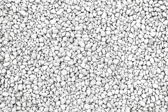 Cat litter texture background. Cat toilet. White bentonite cat litter.
