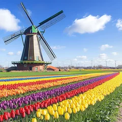 Selbstklebende Fototapeten A traditional windmill and colorful tulips under a bright blue sky © yogiandrias