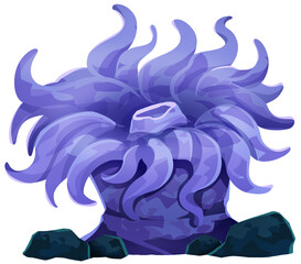 Sea Anemone Illustration