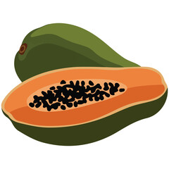 Papaya fruit vector