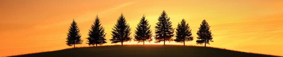 A dramatic sunset where tree silhouettes create a sharp contrast against the vibrant sky, Conifer,Tree,Gymnosperms,OrganismsForests