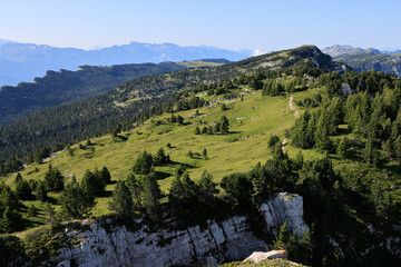 Mont Granier. Massif de la Chartreuse. Réserve Naturelle des Hauts de Chartreuse. Alpes. Isère - Savoie 