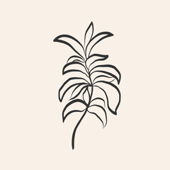 Sketch leafs Stevia plant on isolated background. Hand drawn botanical vector illustration with branch of sugar plant for logo, sign, label, print, card, tattoo. Food ingredient, harvest, sweetener