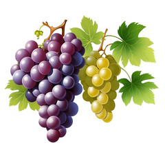 Including green and red grape leaves, the grapes appear ripe and juicy