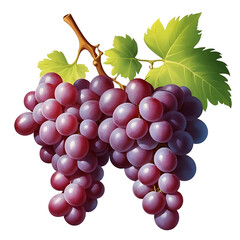 Including green and red grape leaves, the grapes appear ripe and juicy