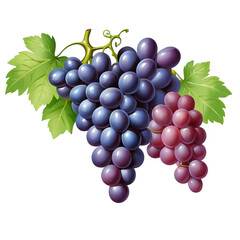 Including green and red grape leaves, the grapes appear ripe and juicy