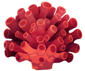 Fototapeta premium Red Coral Illustration