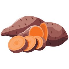 Sweet potato vector