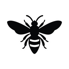 Vector illustration of a wasp, black and white beetle, and a bee with spider, insect, and nature elements in a bold, dangerous design for Halloween