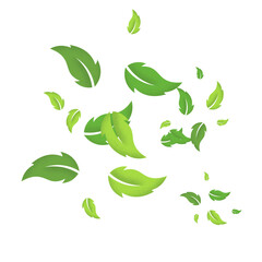 Flying Green Leaves