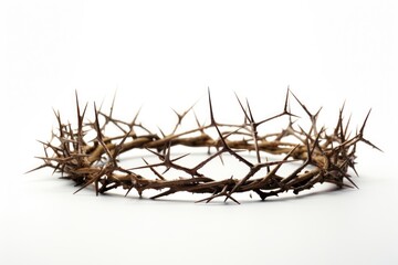 Fototapeta premium Crown of Thorns white background accessories accessory.