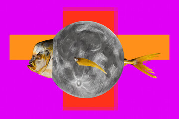 Sketch design trend artwork poster 3D photo collage of psychedelic aquarium fish head full moon night cosmos space body vibrant color