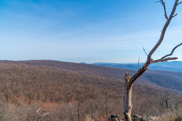 Sunlit Serenity in the Blue Ridge Mountains